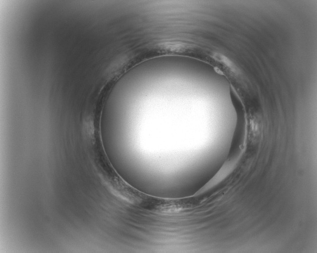 X0000069360500200605150920