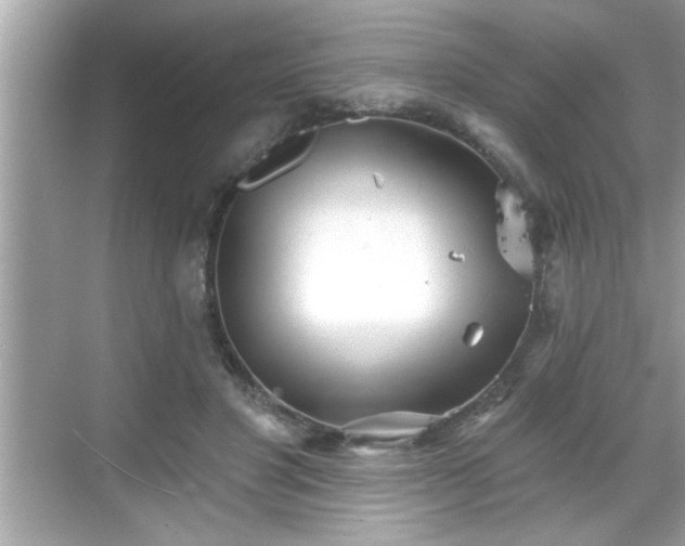 X0000069360501200605150920