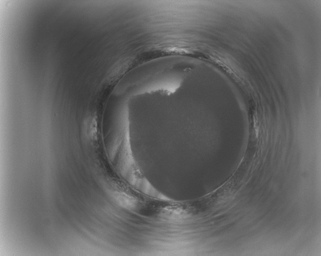 X0000069360502200605150920