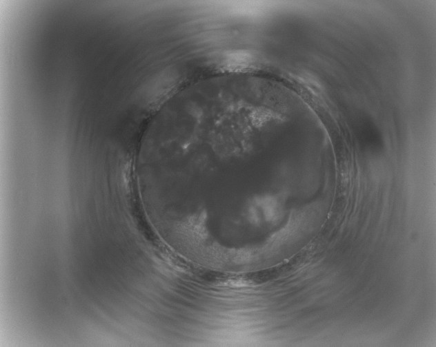 X0000069360503200605150920