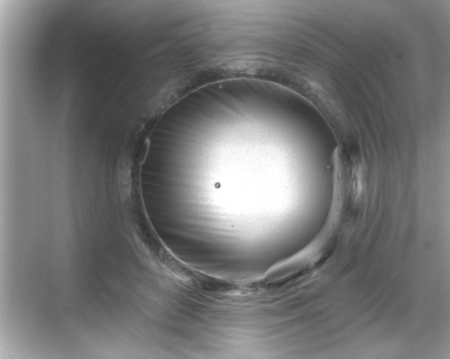 X0000069360504200605150920