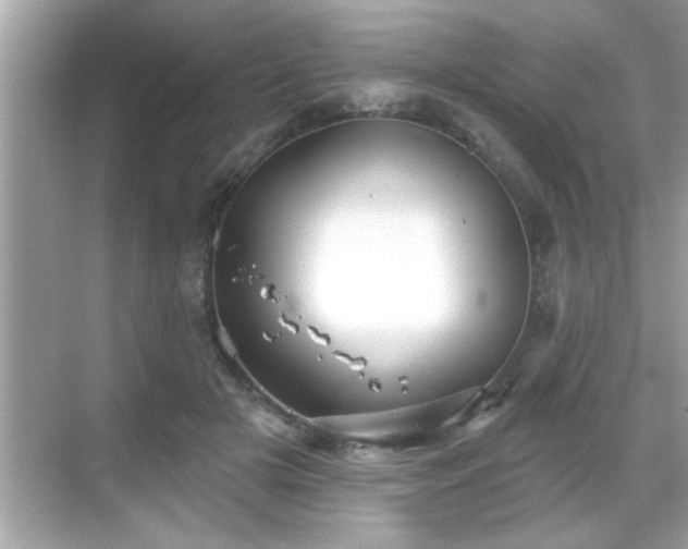 X0000069360505200605150920