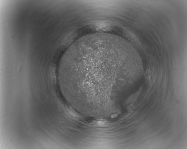 X0000069360506200605150920