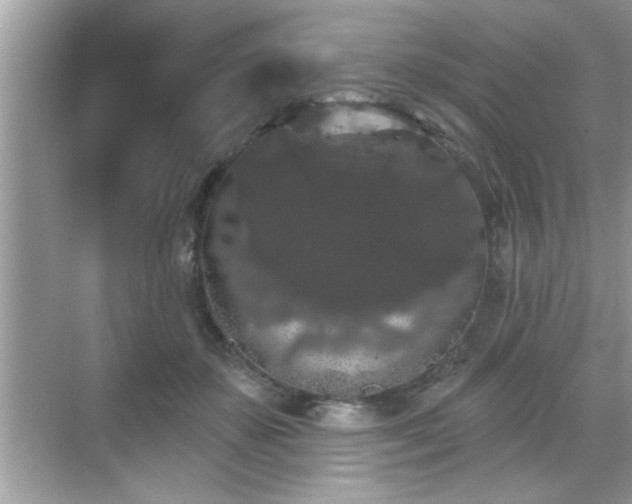 X0000069360507200605150920