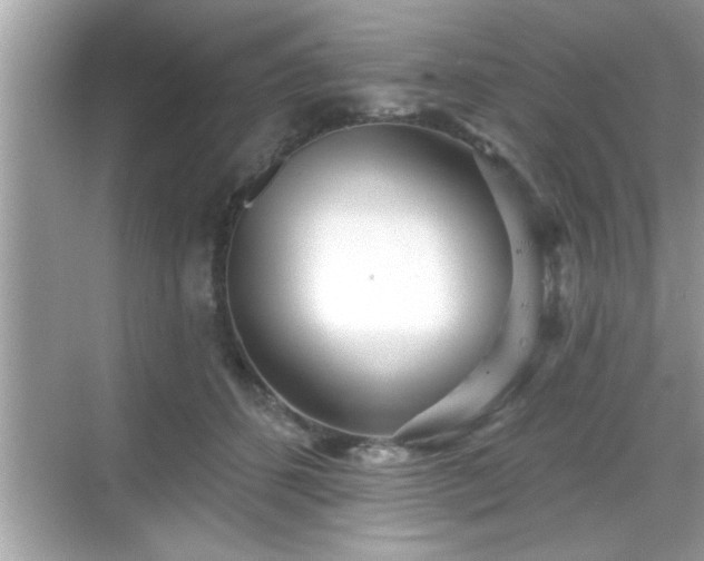 X0000069360512200605150920