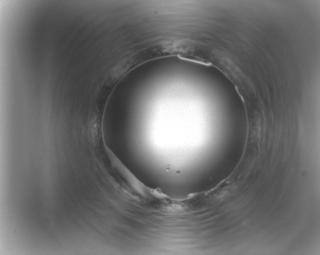 X0000069360513200605150920