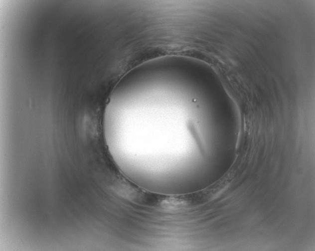 X0000069360515200605150920