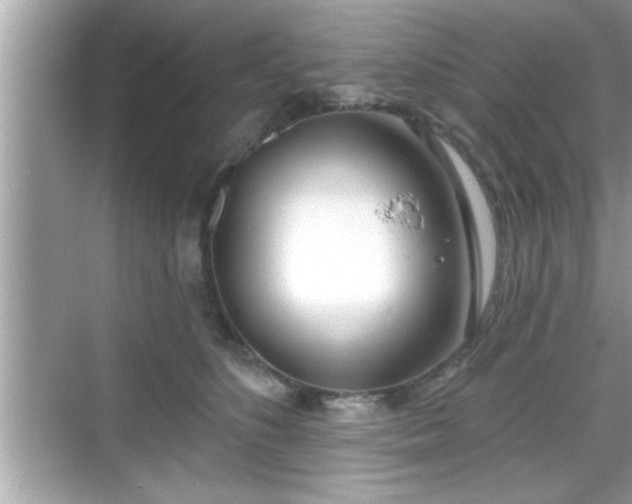 X0000069360516200605150920