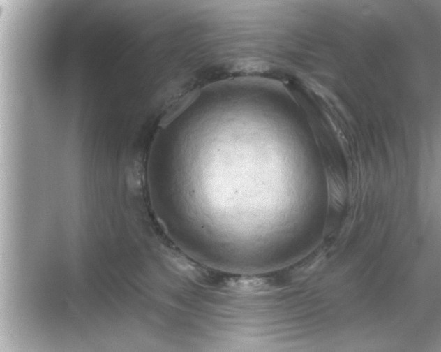 X0000069360517200605150920