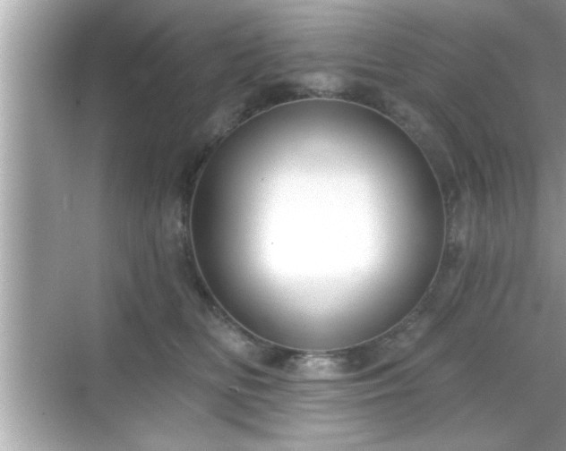 X0000069360518200605150920