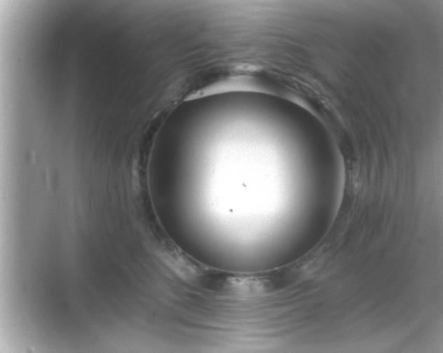 X0000069360520200605150920