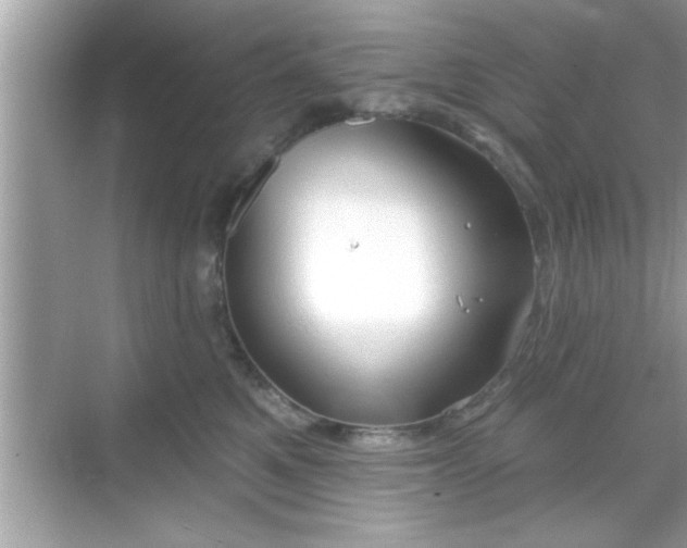 X0000069360521200605150920