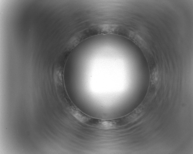 X0000069360522200605150920