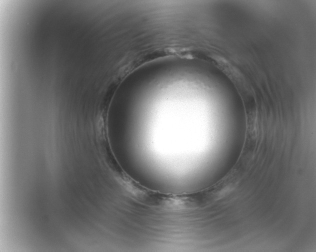 X0000069360523200605150920