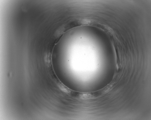 X0000069360525200605150920