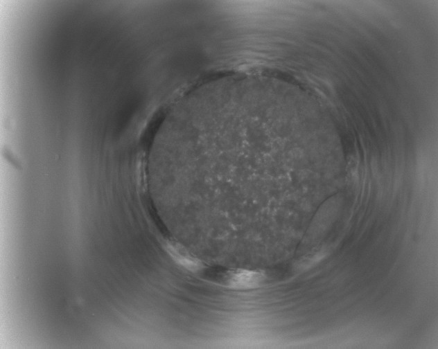 X0000069360527200605150920