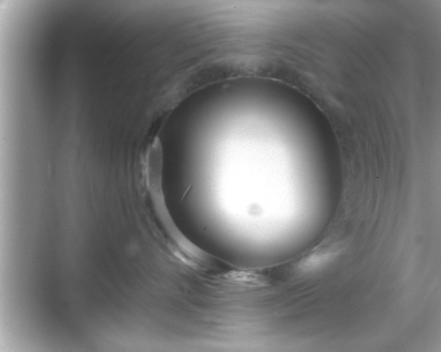 X0000069360528200605150919