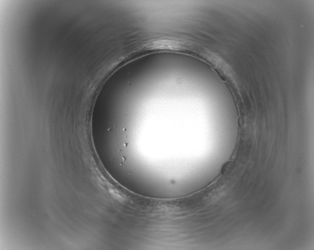 X0000069360529200605150919