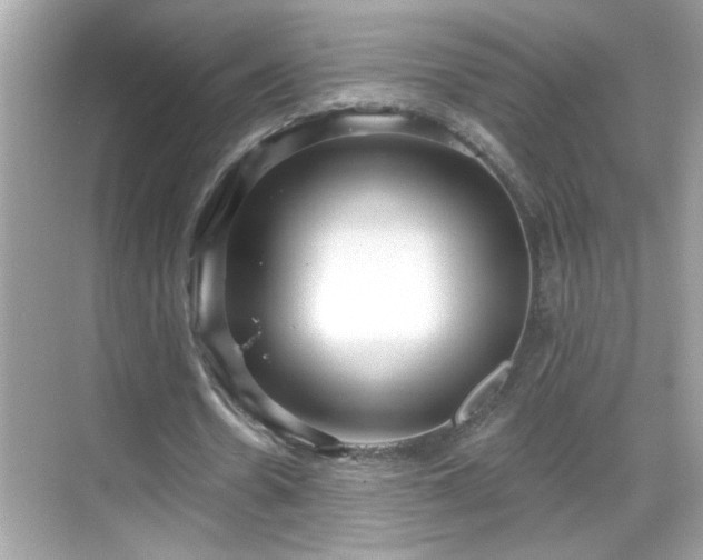 X0000069360530200605150919