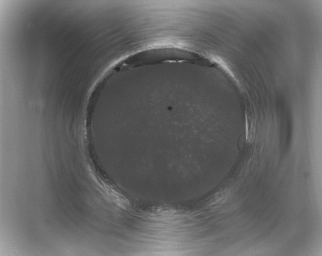 X0000069360531200605150919