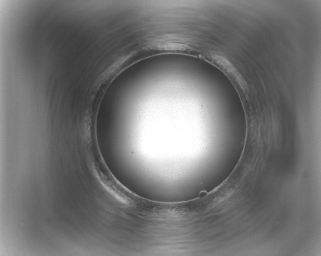 X0000069360533200605150919