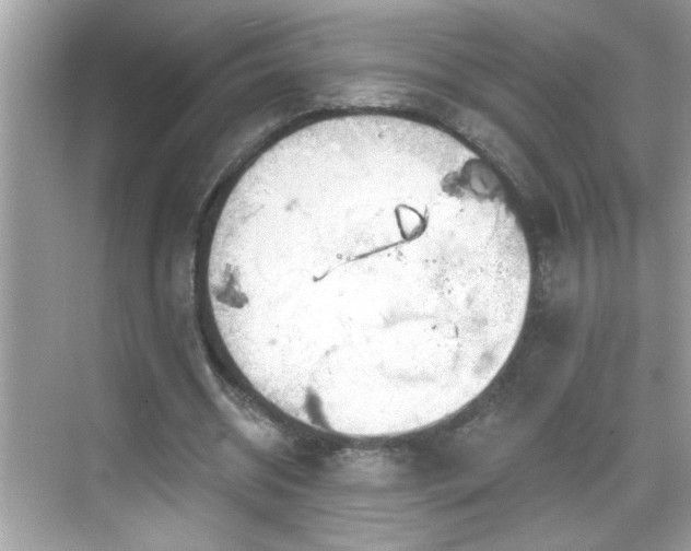 X0000069360534200605150919