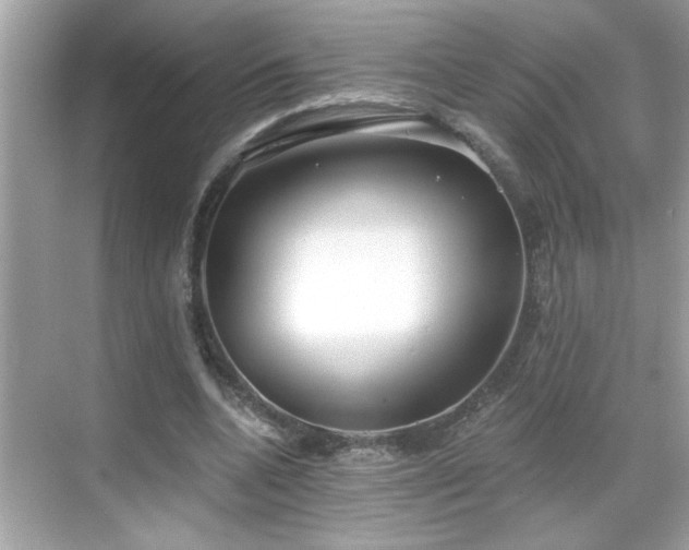 X0000069360536200605150919