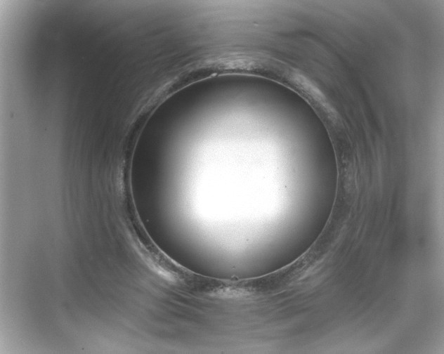 X0000069360537200605150919