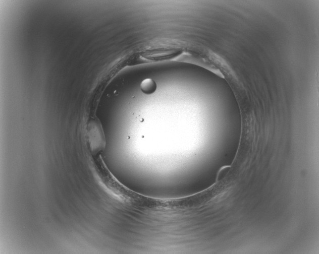 X0000069360538200605150919