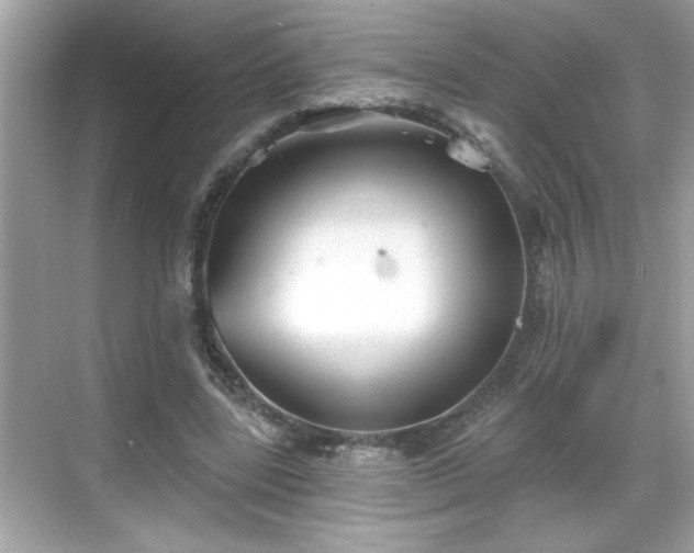 X0000069360539200605150919