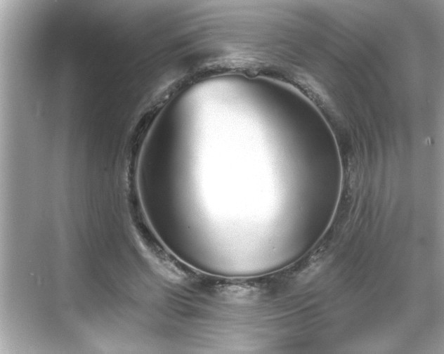 X0000069360542200605150919