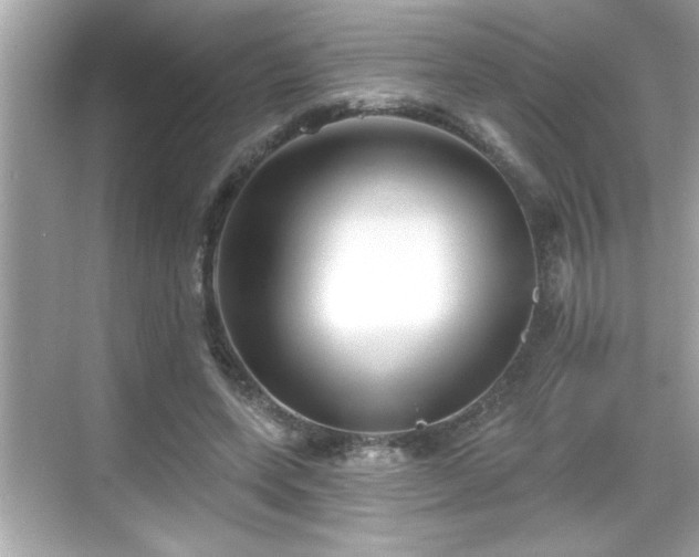 X0000069360543200605150919