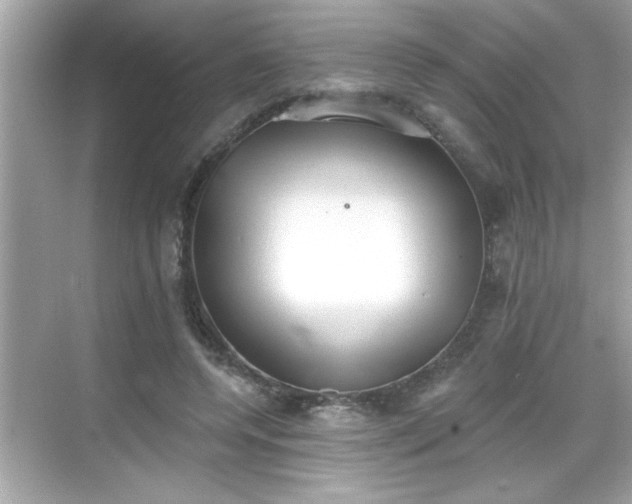 X0000069360544200605150919