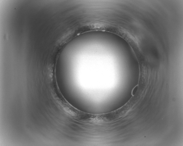 X0000069360545200605150919