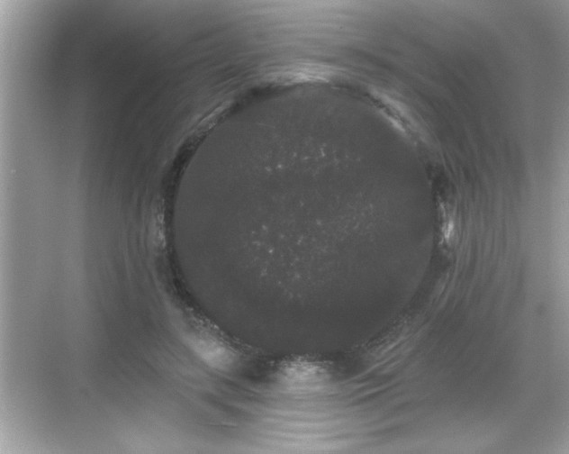 X0000069360547200605150919