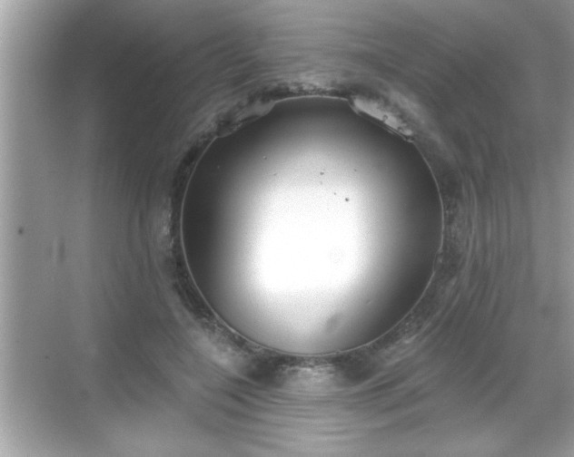 X0000069360548200605150919