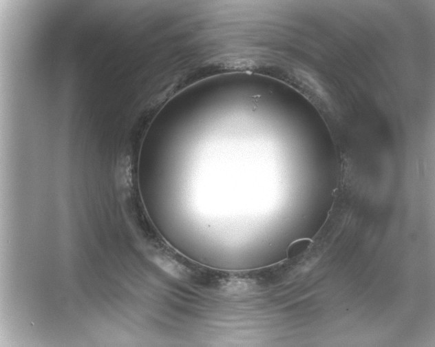 X0000069360549200605150919