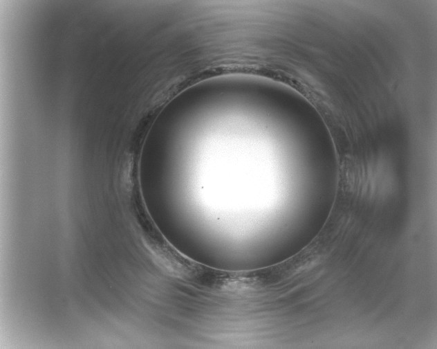 X0000069360550200605150919