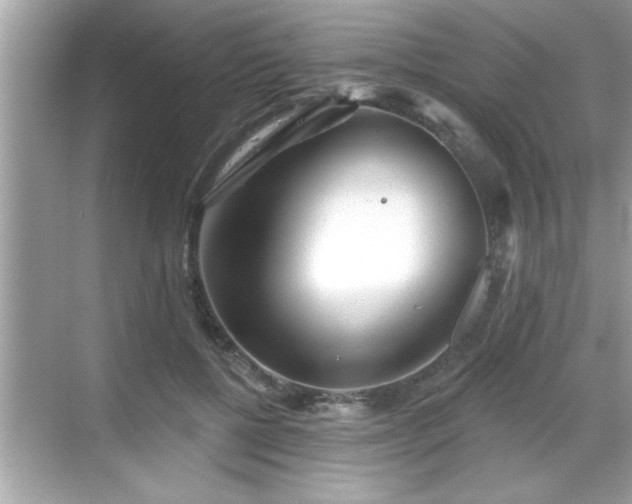 X0000069360552200605150919