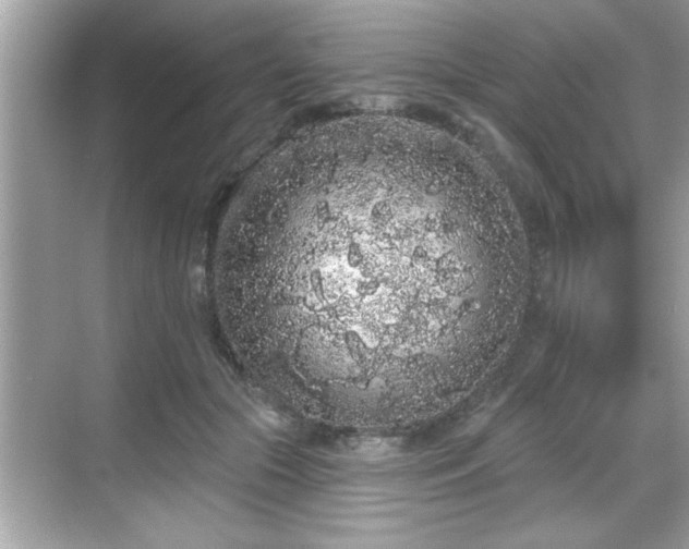 X0000069360553200605150919