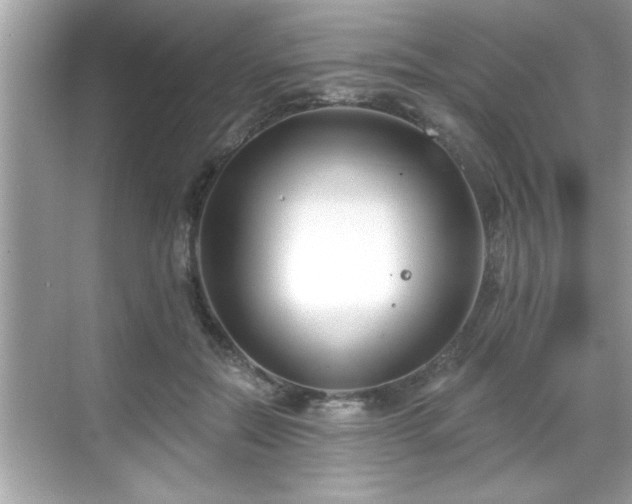 X0000069360554200605150919