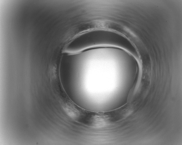 X0000069360556200605150919