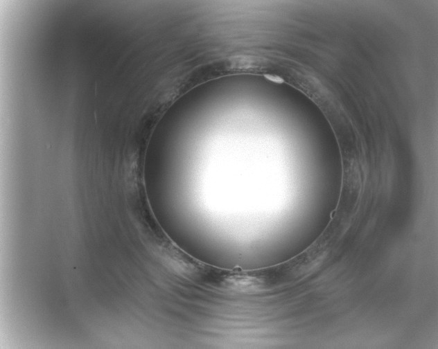 X0000069360557200605150919