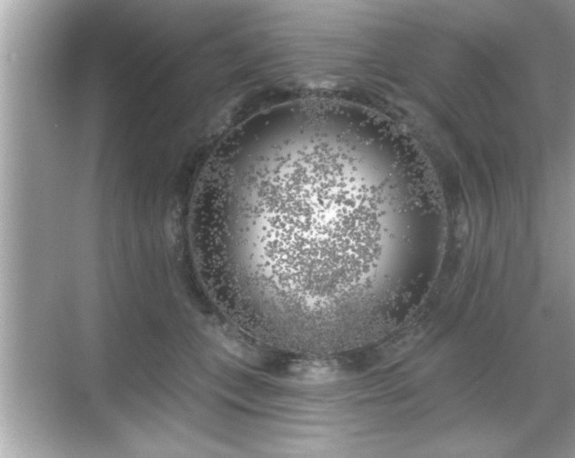 X0000069360559200605150919