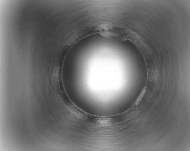 X0000069360560200605150919