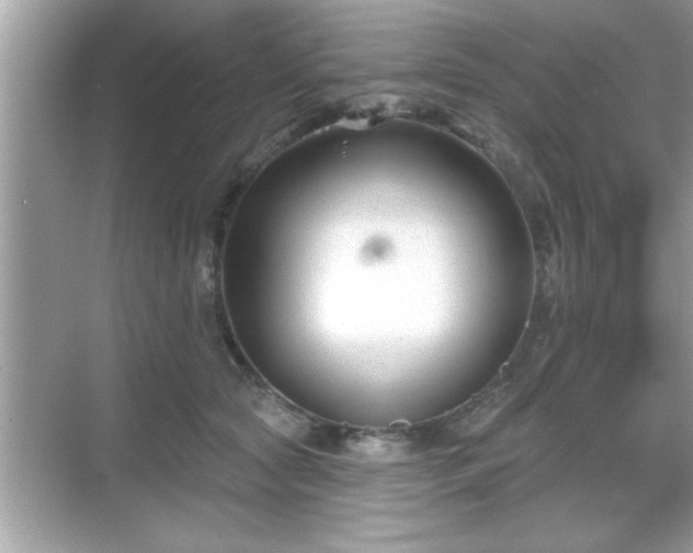 X0000069360561200605150919