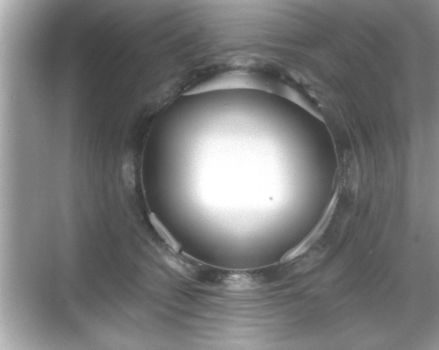 X0000069360562200605150919