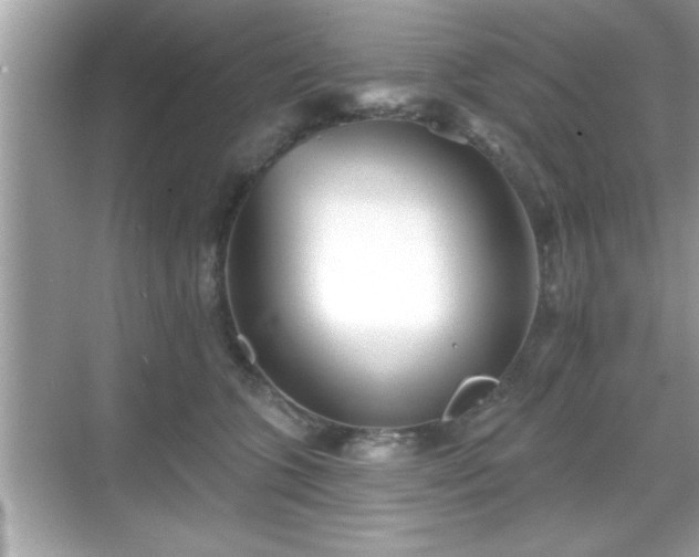 X0000069360563200605150919