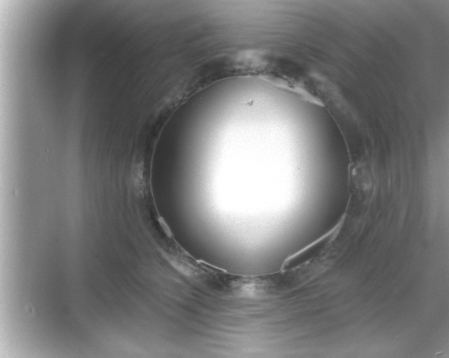 X0000069360564200605150919