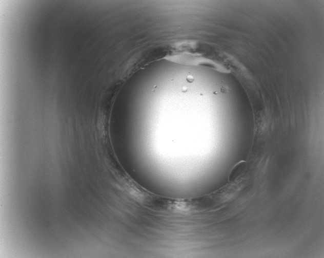 X0000069360565200605150919